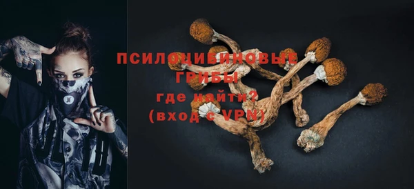 герыч Арсеньев