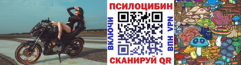 omg как войти  Дыгулыбгей  Галлюциногенные грибы Psilocybe 